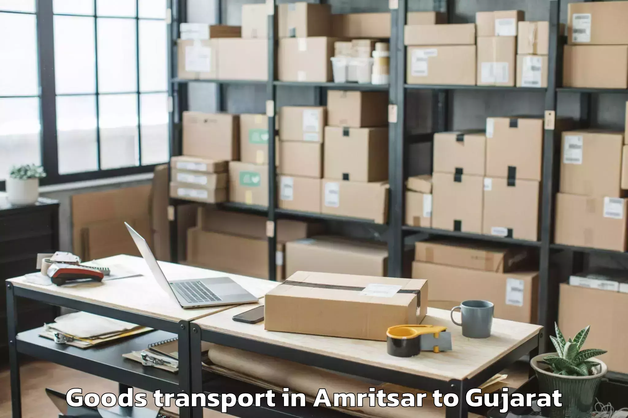 Professional Amritsar to Karnavati University Gandhinag Goods Transport